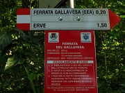 SENTIERO ATTREZZATO DEL GALLAVESA, sabato 12 maggio 2012 - FOTOGALLERY